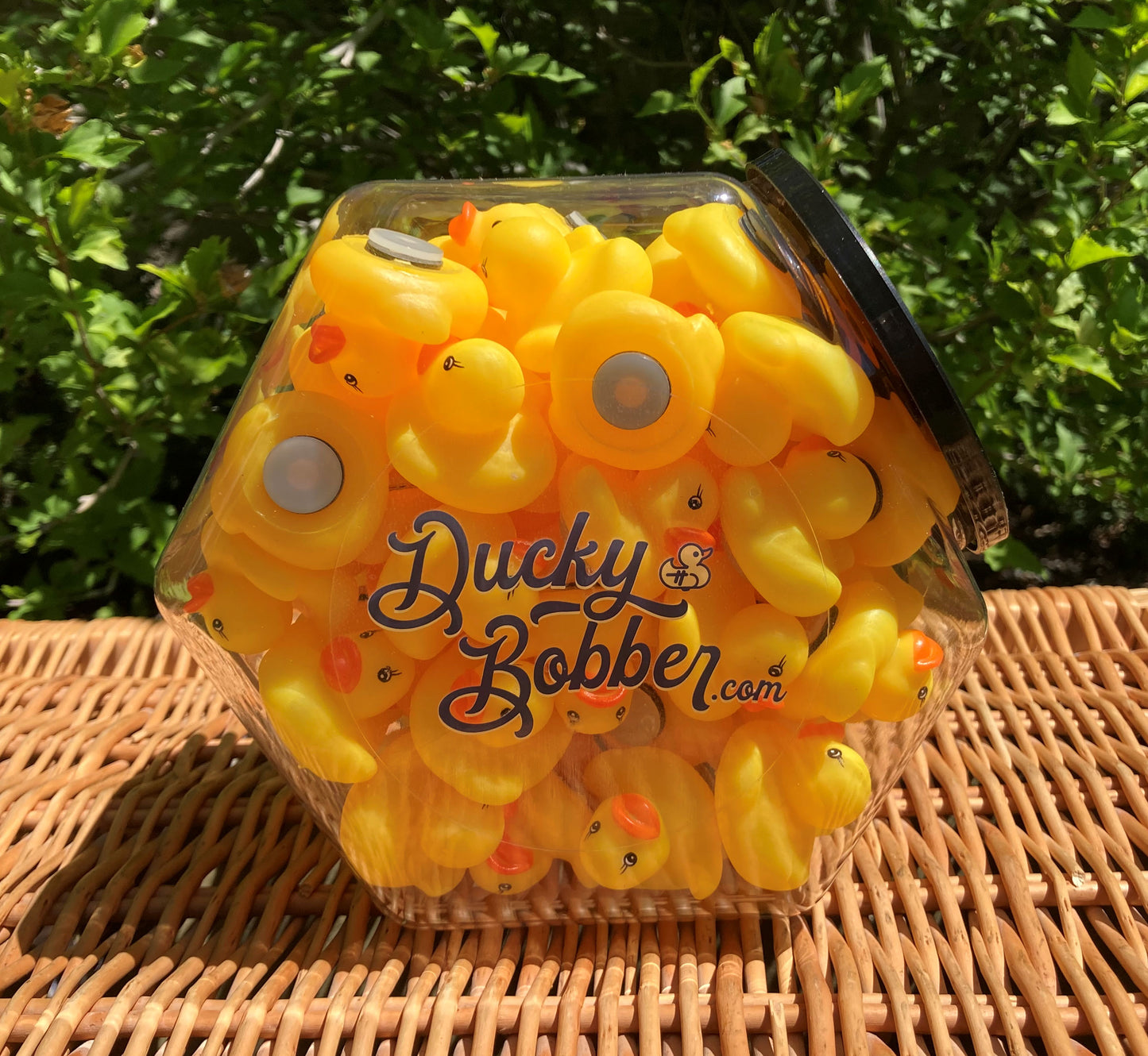 Ducky Bobber Jar (70 count)